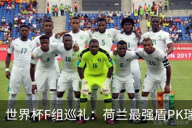 世界杯F组巡礼：荷兰最强盾PK瑞典犀利刀 日本短板明显